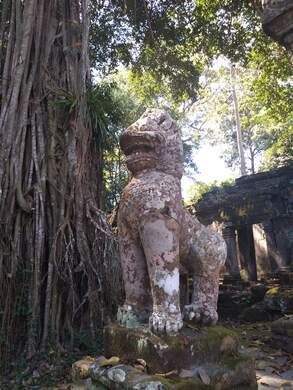 Fu Dog Angkor Thom Temple Siem Reap Cambodia