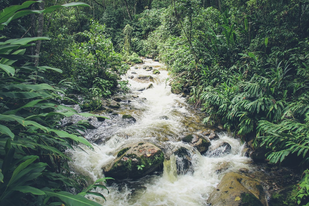Waterfall in Amazon rainforest in Peru